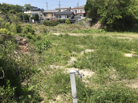 空き地