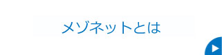 メゾネットとは